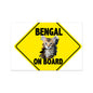 Bengal on Board  Rolled Canvas