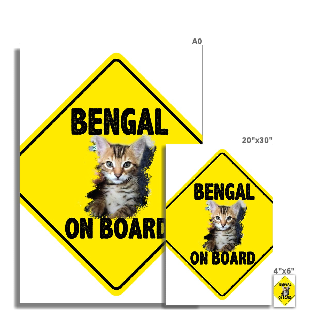 Bengal on Board  Rolled Canvas