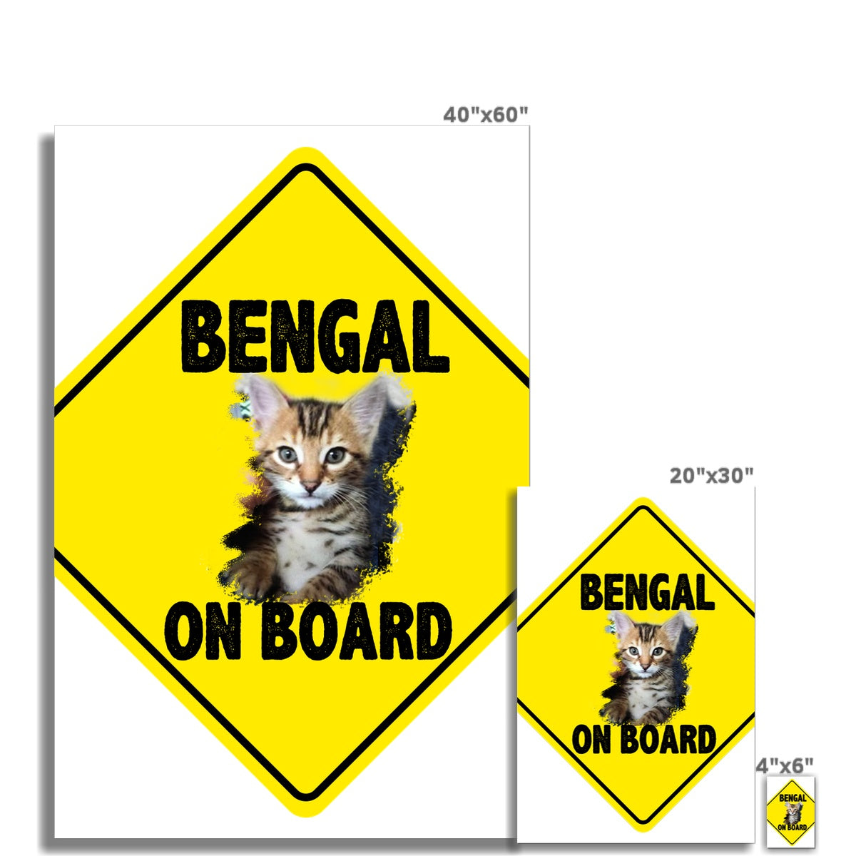 Bengal on Board  Fine Art Print