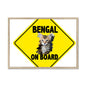 Bengal on Board  Framed Print