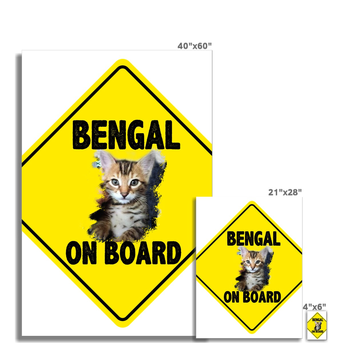 Bengal on Board  Wall Art Poster