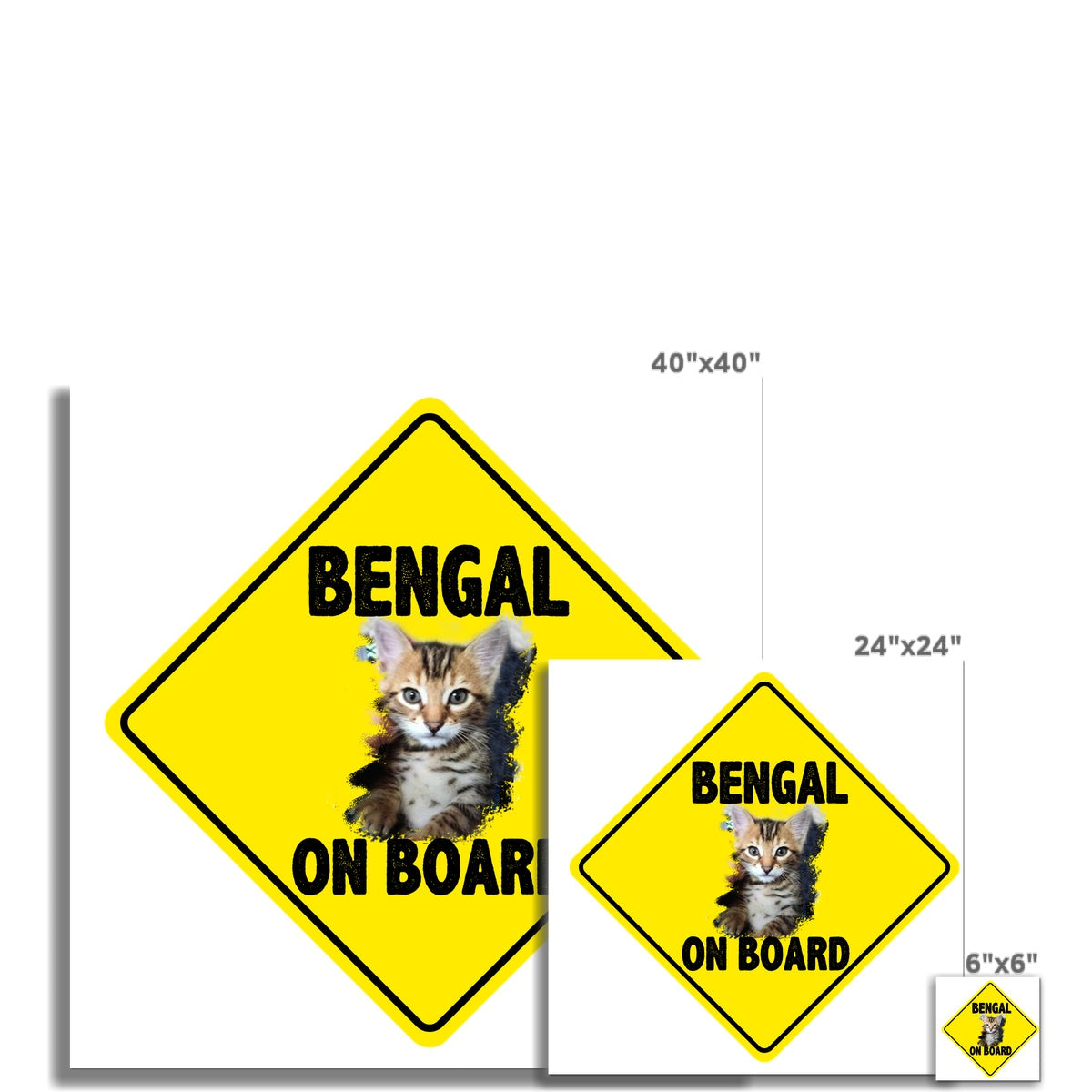 Bengal on Board  Rolled Canvas