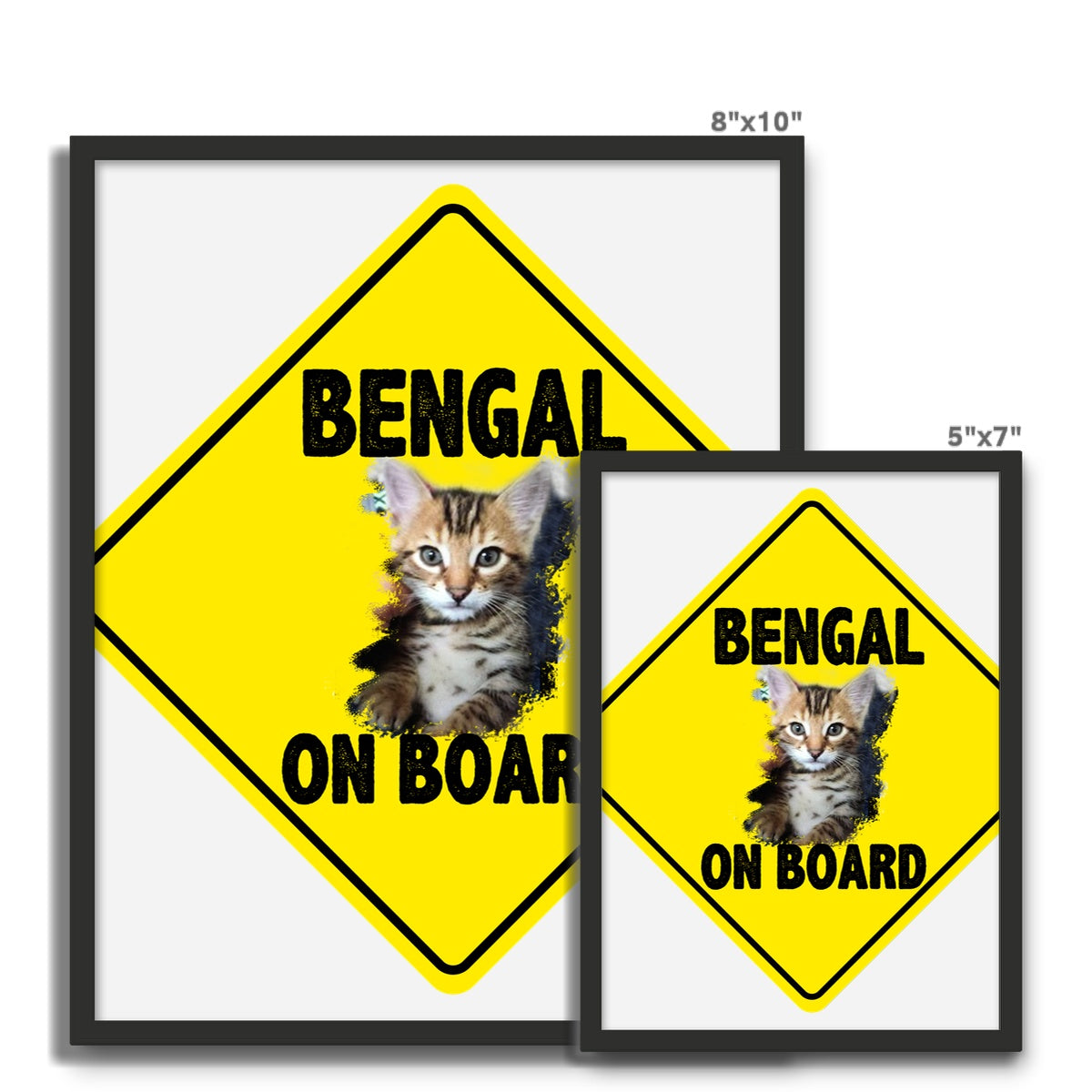 Bengal on Board  Framed Photo Tile