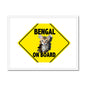 Bengal on Board  Framed & Mounted Print