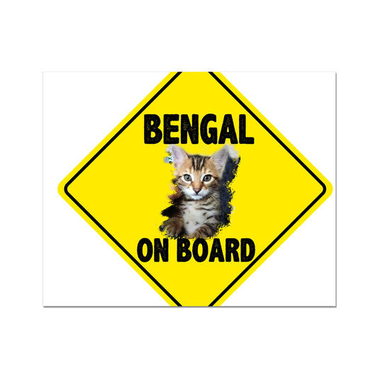 Bengal on Board  C-Type Print